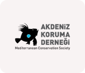 AKD_BLOCK