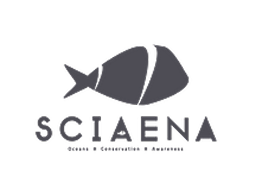 Sciaena