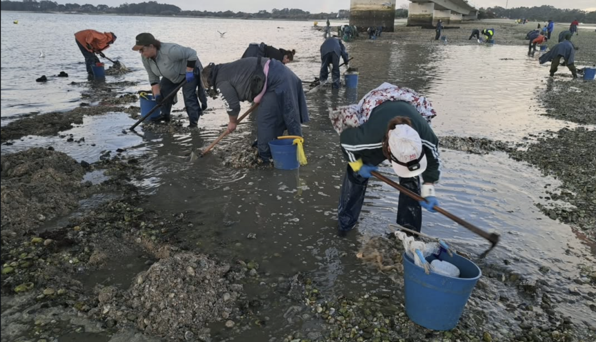 Screenshot 2026-03-09 102754