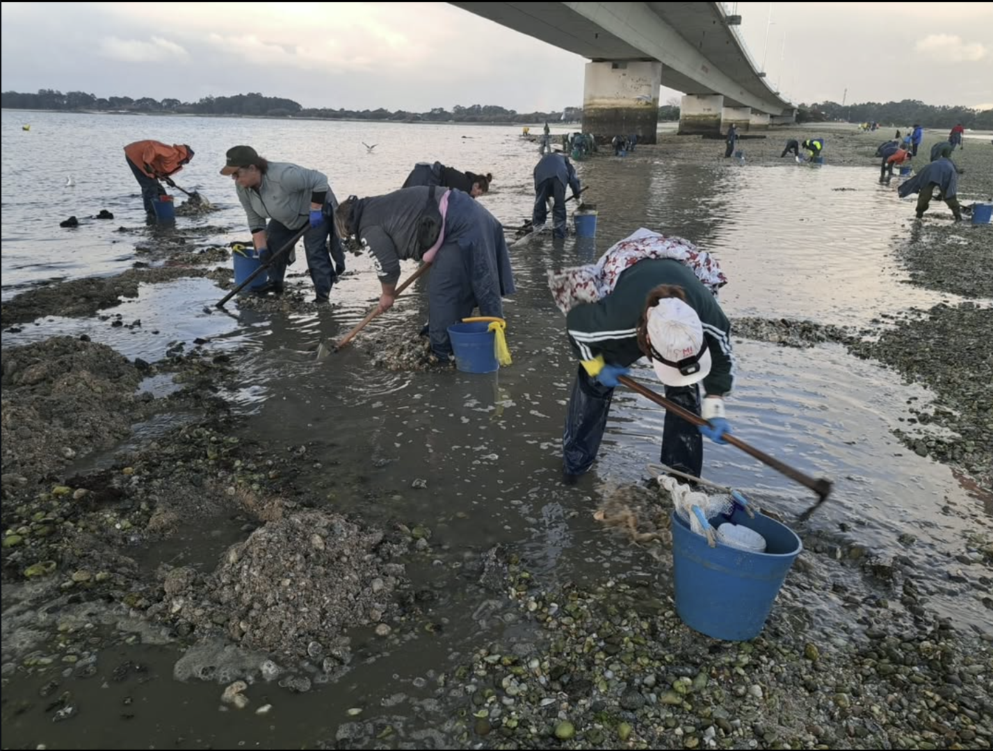 Screenshot 2026-03-09 102754